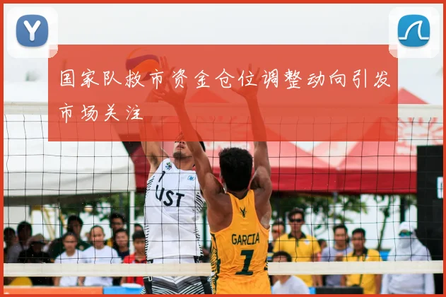 国家队救市资金仓位调整动向引发市场关注