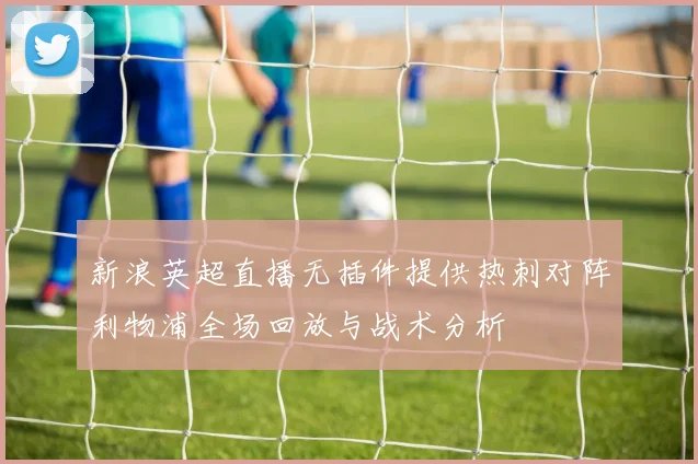 新浪英超直播无插件提供热刺对阵利物浦全场回放与战术分析