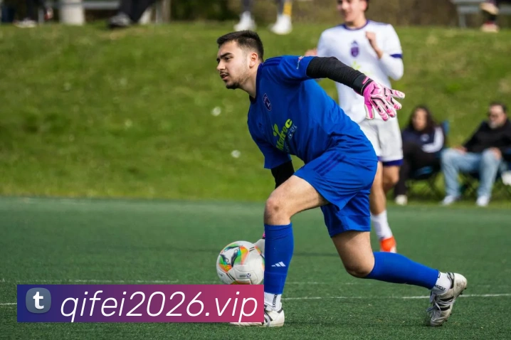 世界杯直播观看入口平台生态图