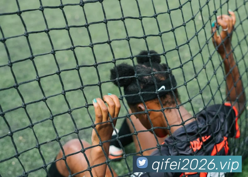 世界杯直播观看入口全站App